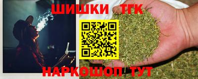 тгк Новодвинск