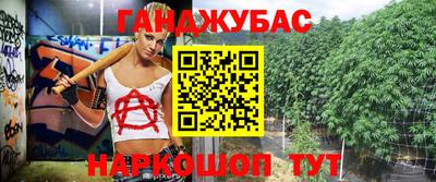 тгк Новодвинск