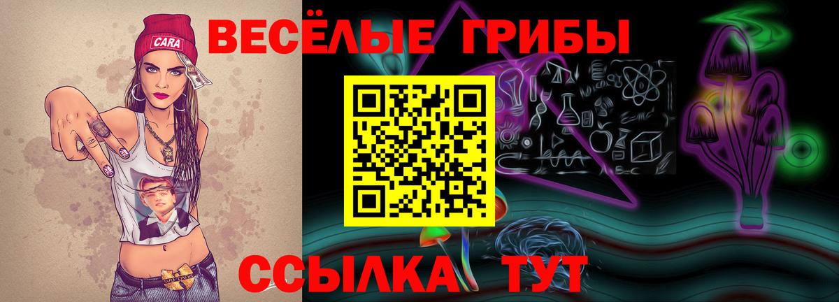 Псилоцибиновые грибы Psilocybine cubensis  Вход с VPN  Уссурийск 